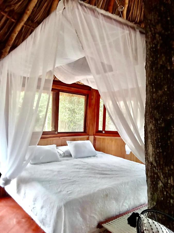 Nuscaa Boutique Tree House & Spa Otel Puerto Morelos Dış mekan fotoğraf