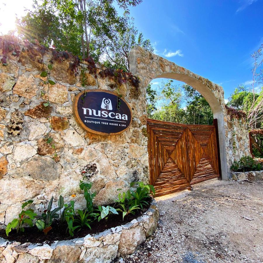 Nuscaa Boutique Tree House & Spa Otel Puerto Morelos Dış mekan fotoğraf