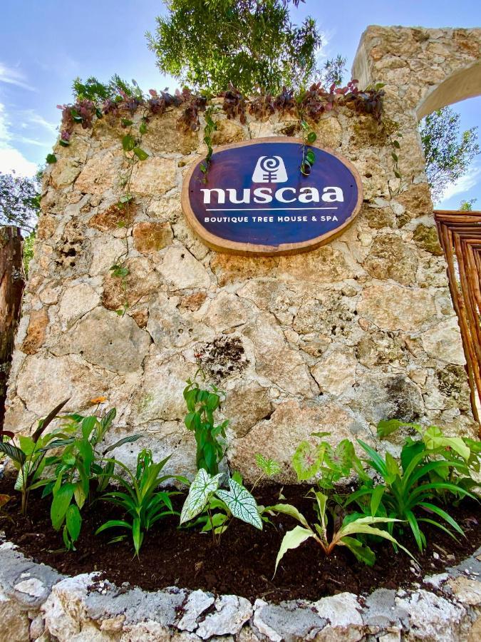 Nuscaa Boutique Tree House & Spa Otel Puerto Morelos Dış mekan fotoğraf