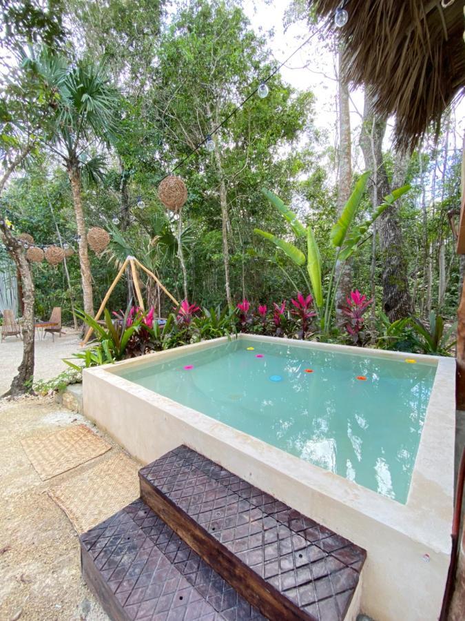 Nuscaa Boutique Tree House & Spa Otel Puerto Morelos Dış mekan fotoğraf