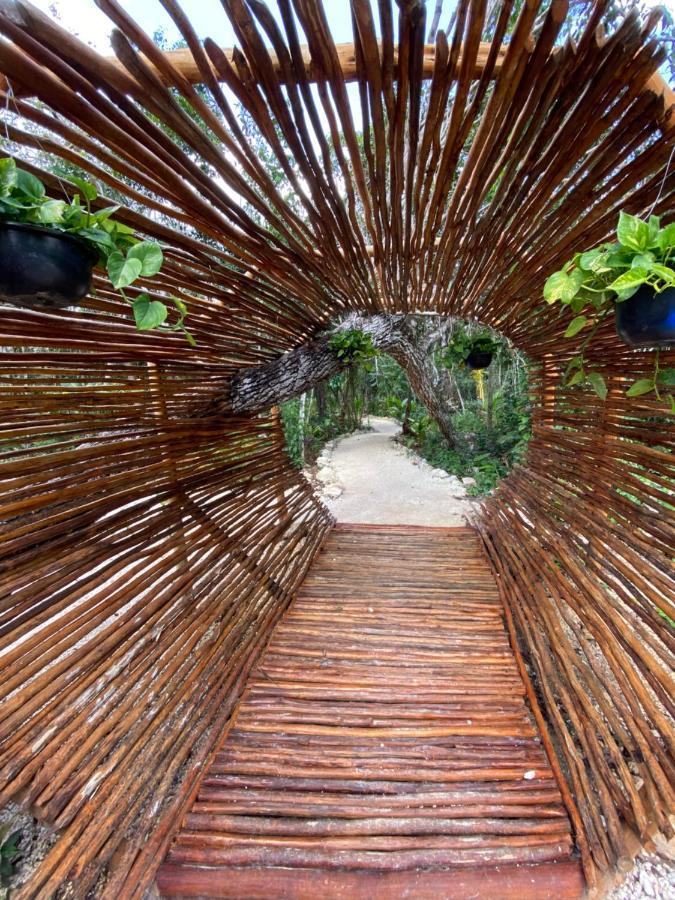 Nuscaa Boutique Tree House & Spa Otel Puerto Morelos Dış mekan fotoğraf