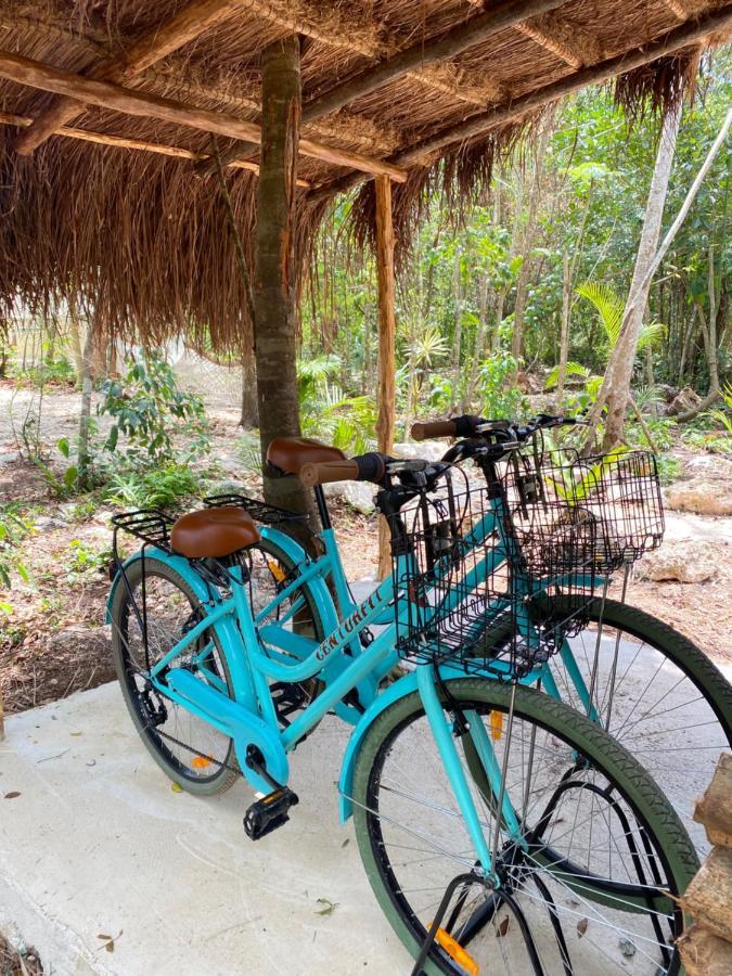 Nuscaa Boutique Tree House & Spa Otel Puerto Morelos Dış mekan fotoğraf