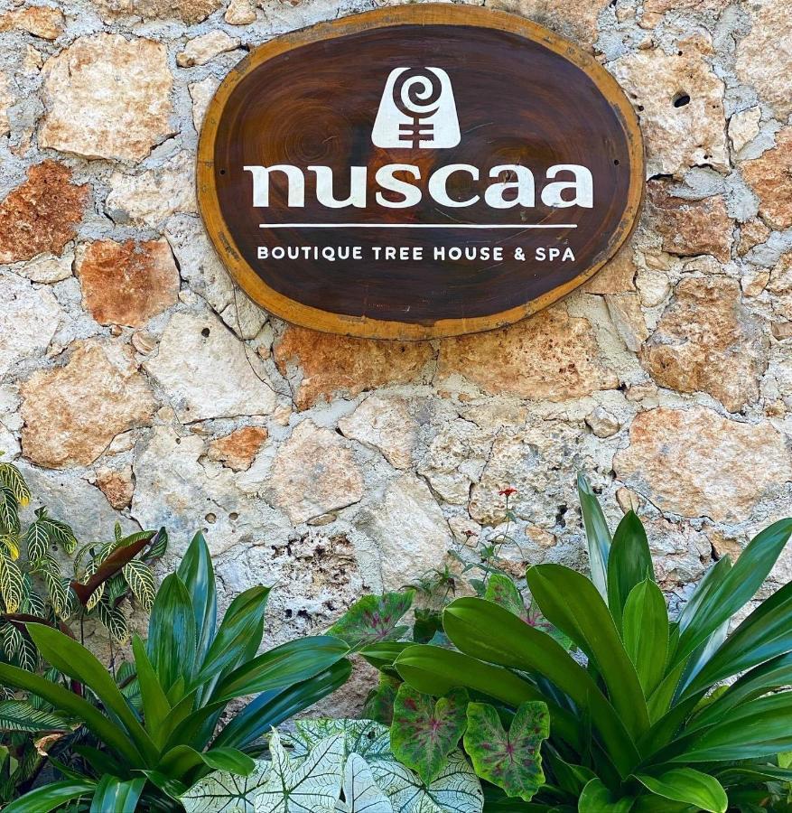Nuscaa Boutique Tree House & Spa Otel Puerto Morelos Dış mekan fotoğraf